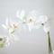 Nearly Natural; 2ft. Orchid Arrangement in Decorative Ceramic Vase; Category:Tabletop Floral Arrangements; Image:4